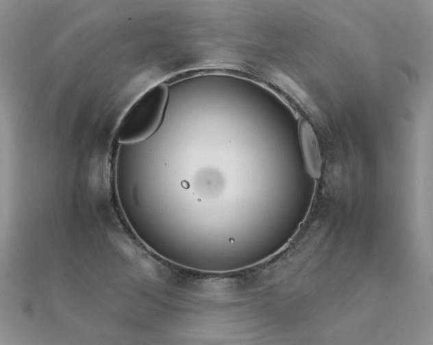 X0000112371268200909031924