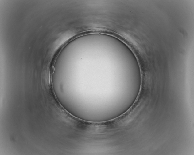 X0000112371269200909031924