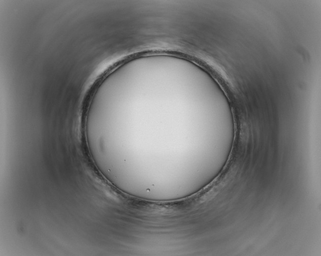 X0000112371270200909031924