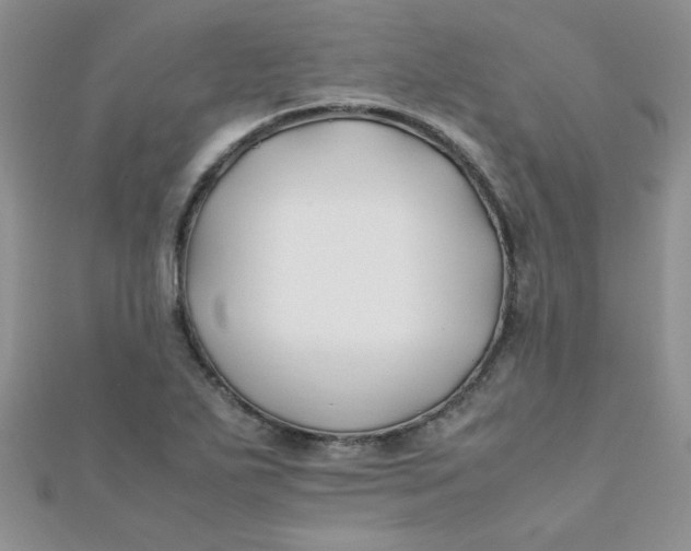 X0000112371271200909031924