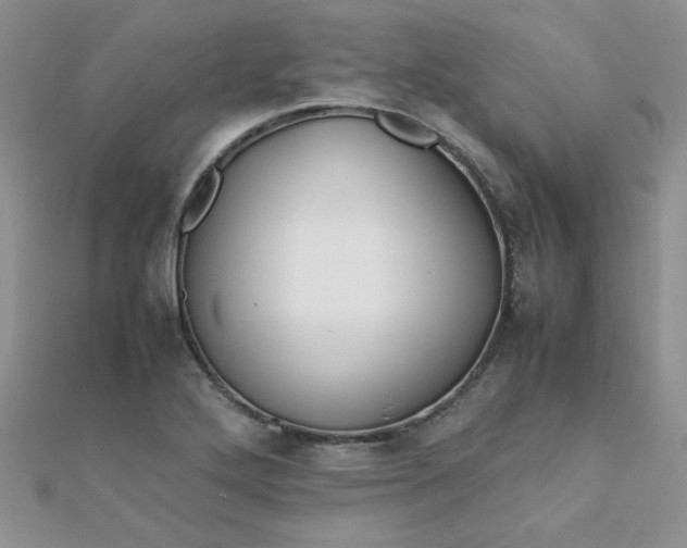 X0000112371272200909031924