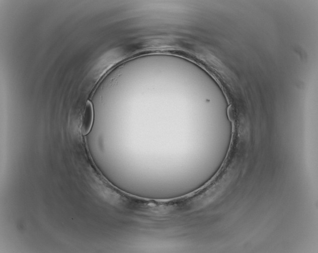 X0000112371273200909031924