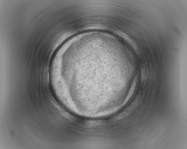 X0000112371274200909031924