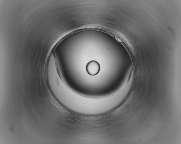 X0000112371276200909031924