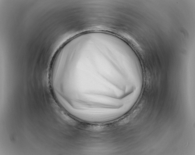 X0000112371278200909031924