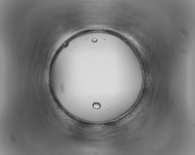 X0000112371279200909031924