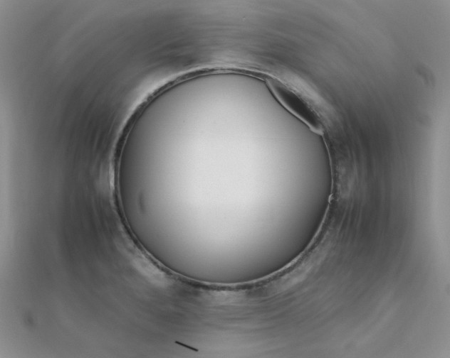 X0000112371280200909031924