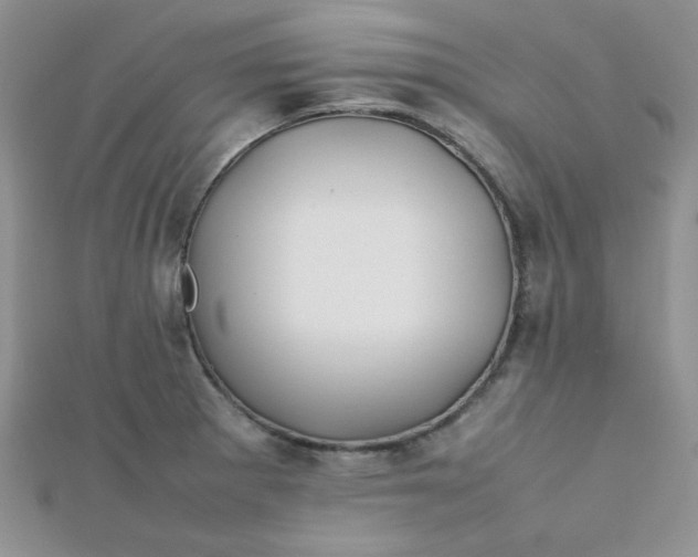 X0000112371281200909031924