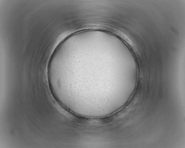 X0000112371283200909031924