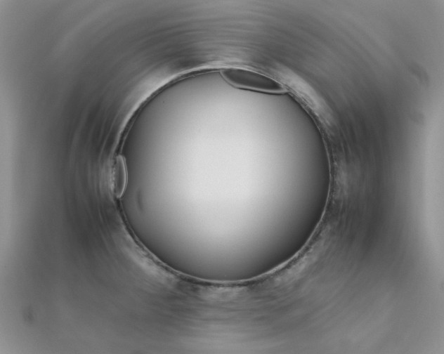 X0000112371284200909031924