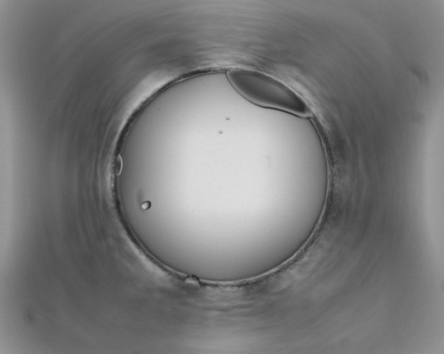 X0000112371285200909031924