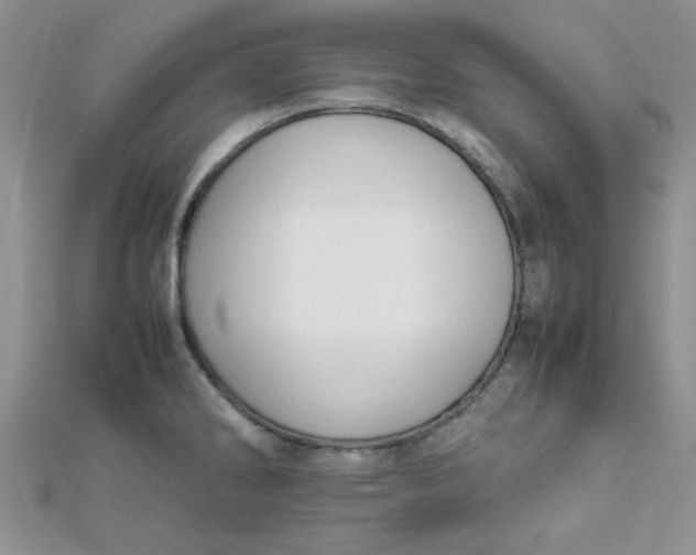 X0000112371286200909031924