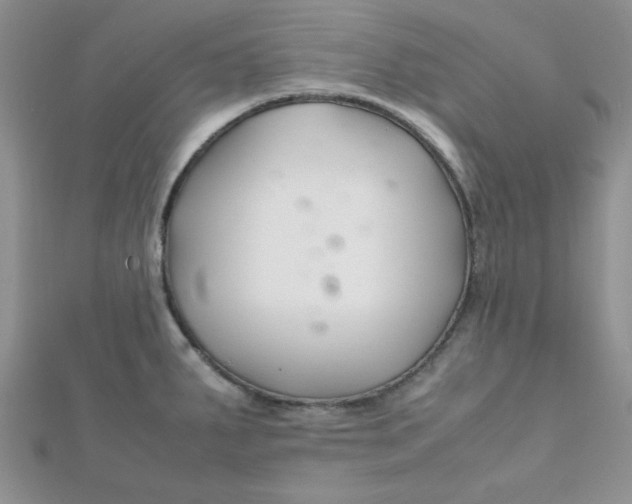 X0000112371287200909031924