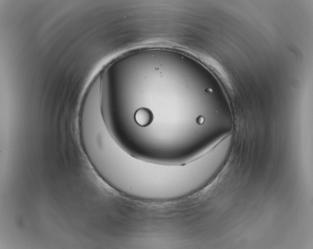 X0000112371288200909031924