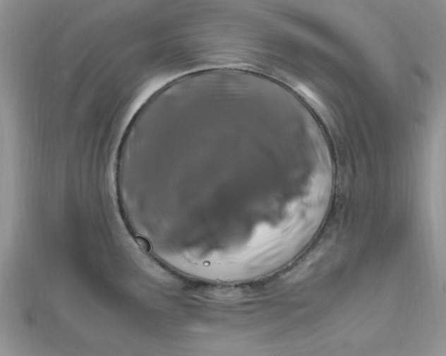 X0000112371291200909031924