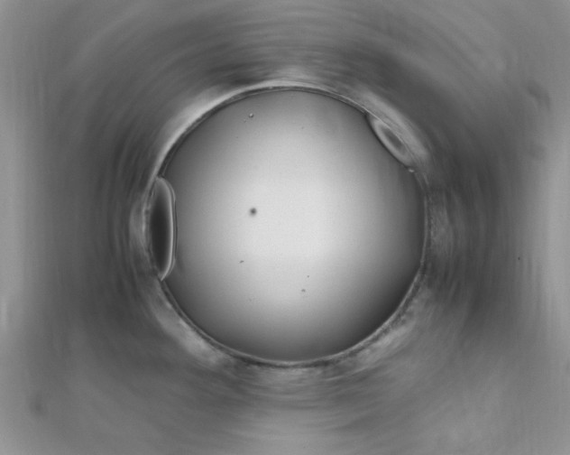 X0000112371292200909031924