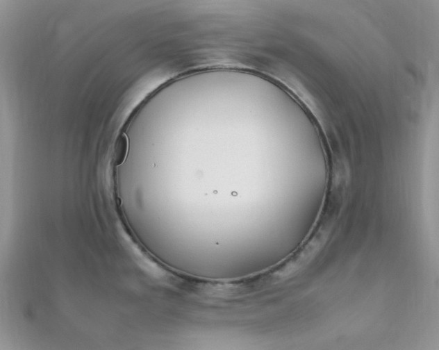 X0000112371293200909031924