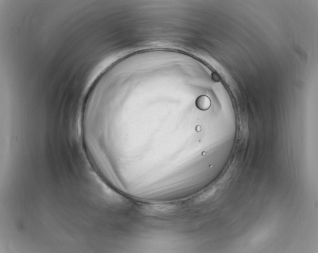 X0000112371294200909031924