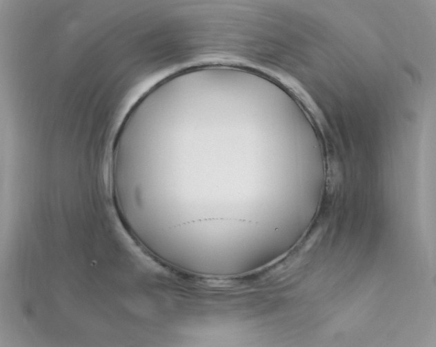 X0000112371295200909031924