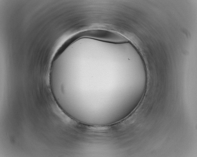 X0000112371296200909031923