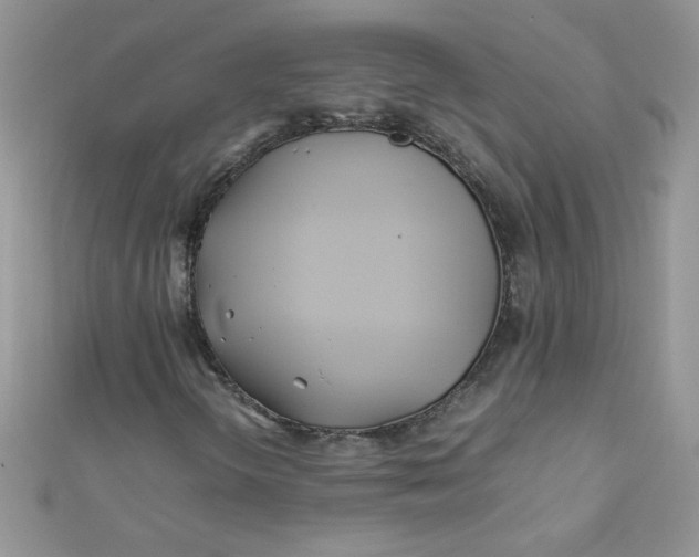 X0000112371298200909031923