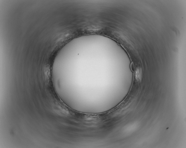 X0000112371299200909031923