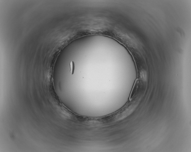 X0000112371300200909031923