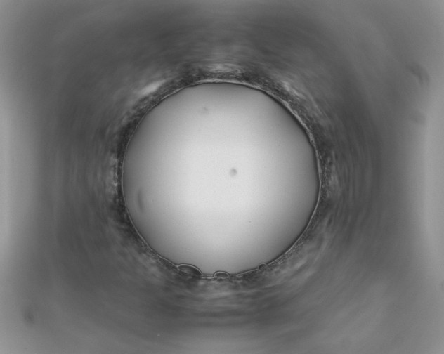 X0000112371301200909031923