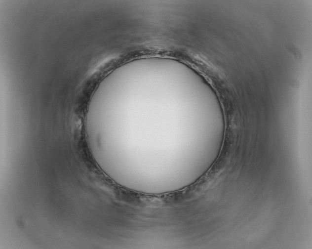 X0000112371302200909031923