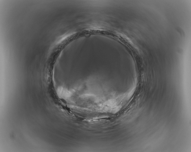 X0000112371303200909031923