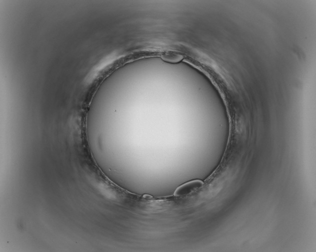 X0000112371304200909031923