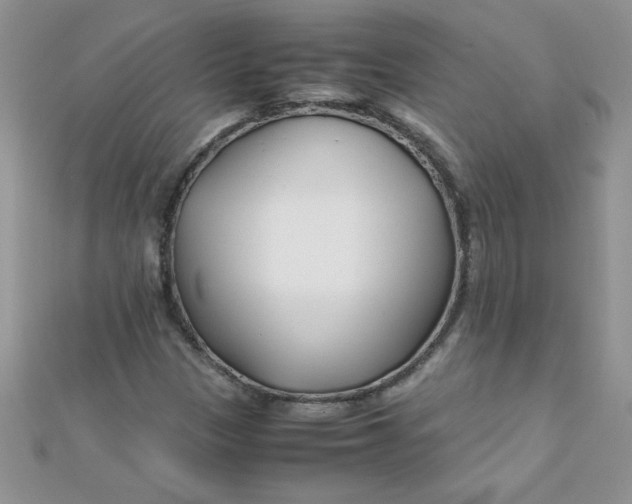 X0000112371305200909031923