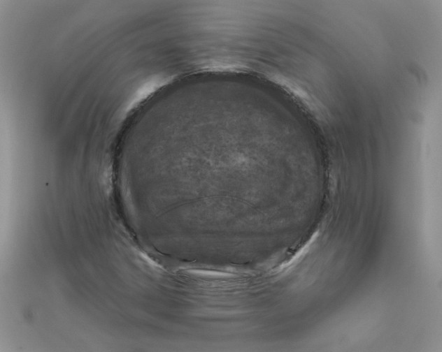 X0000112371306200909031923