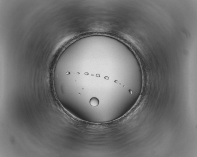 X0000112371307200909031923