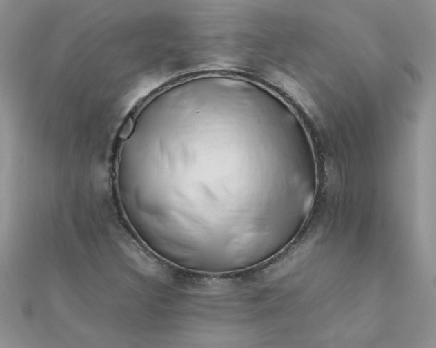 X0000112371308200909031923