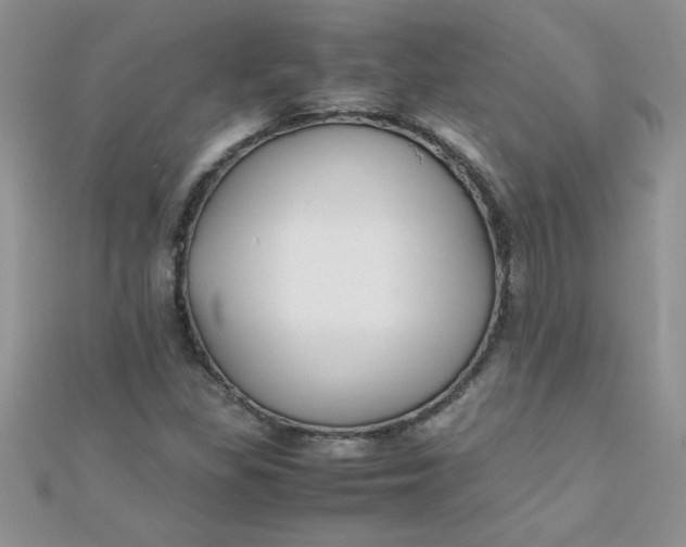 X0000112371309200909031923