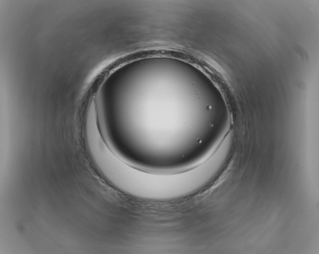 X0000112371310200909031923