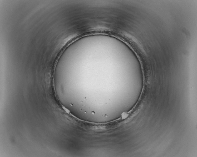 X0000112371313200909031923