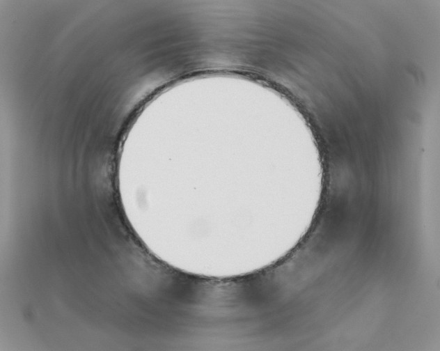 X0000112371314200909031923