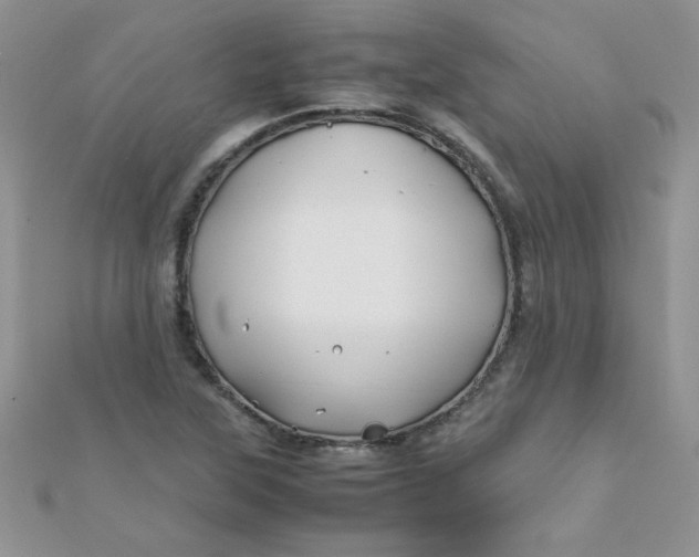 X0000112371315200909031923