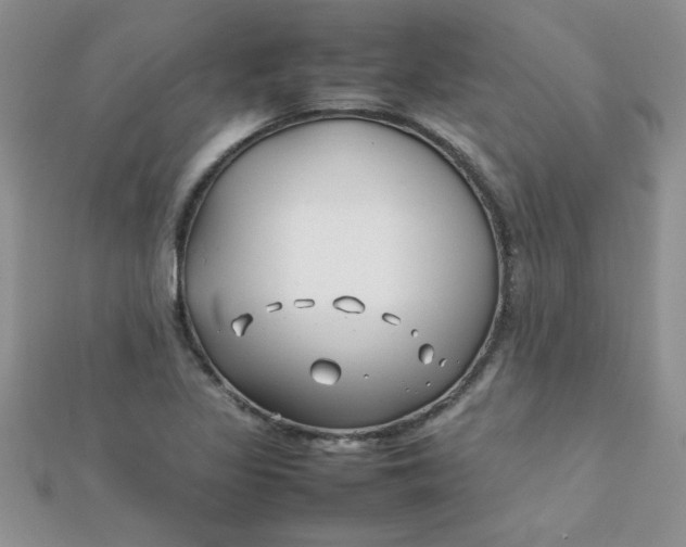 X0000112371317200909031923