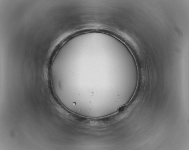 X0000112371318200909031923