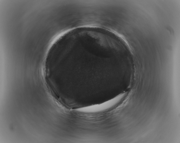 X0000112371319200909031923