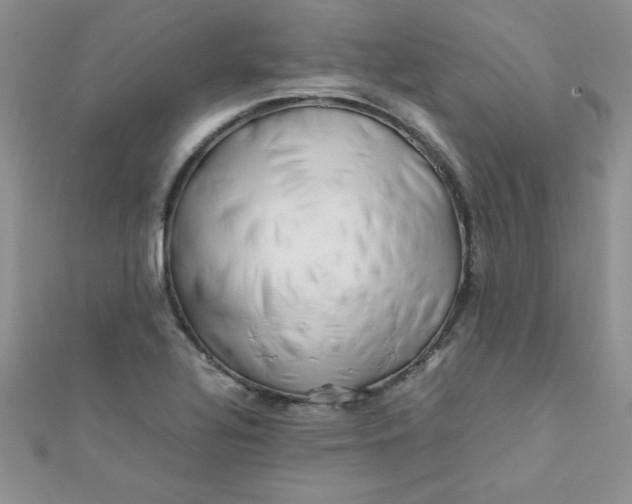 X0000112371320200909031923