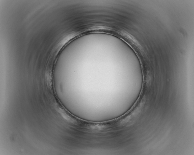 X0000112371321200909031923