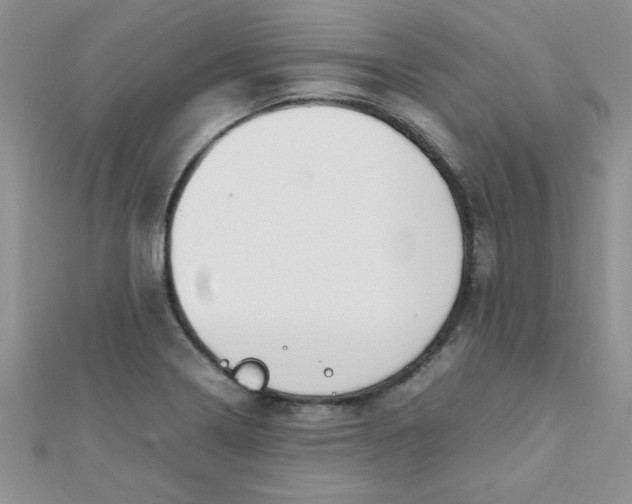 X0000112371322200909031923