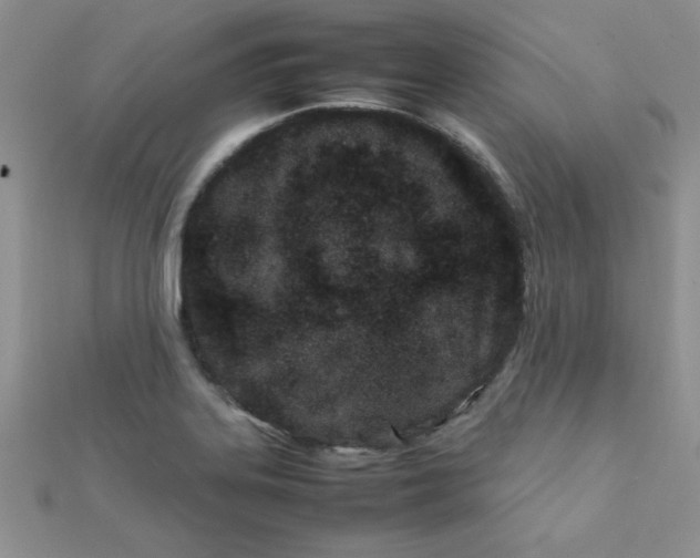 X0000112371323200909031923