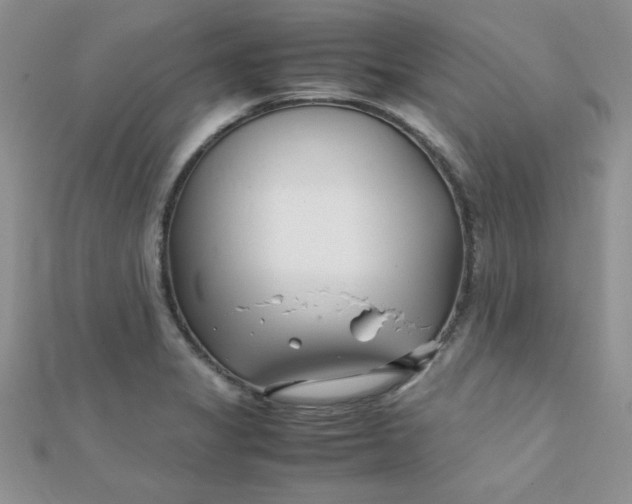 X0000112371325200909031923