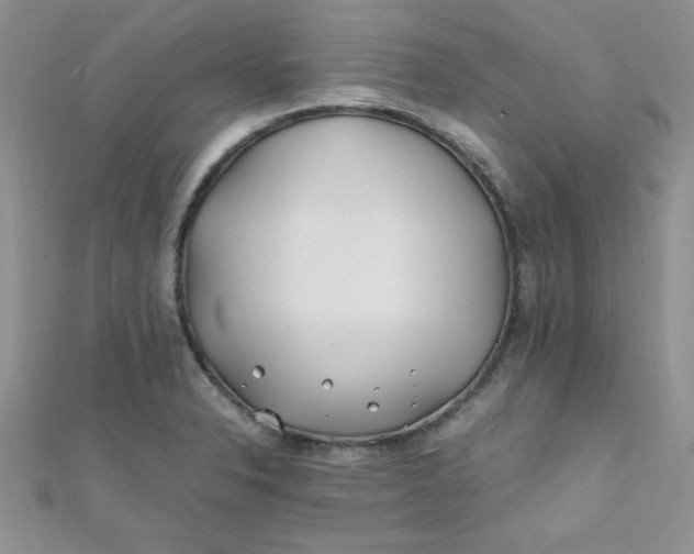 X0000112371326200909031923