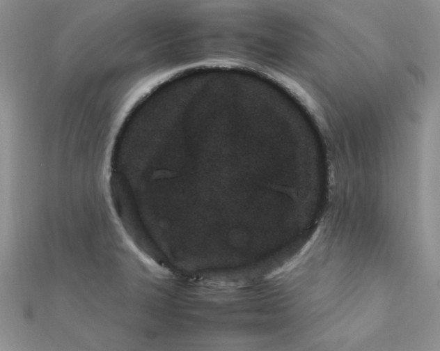 X0000112371327200909031923